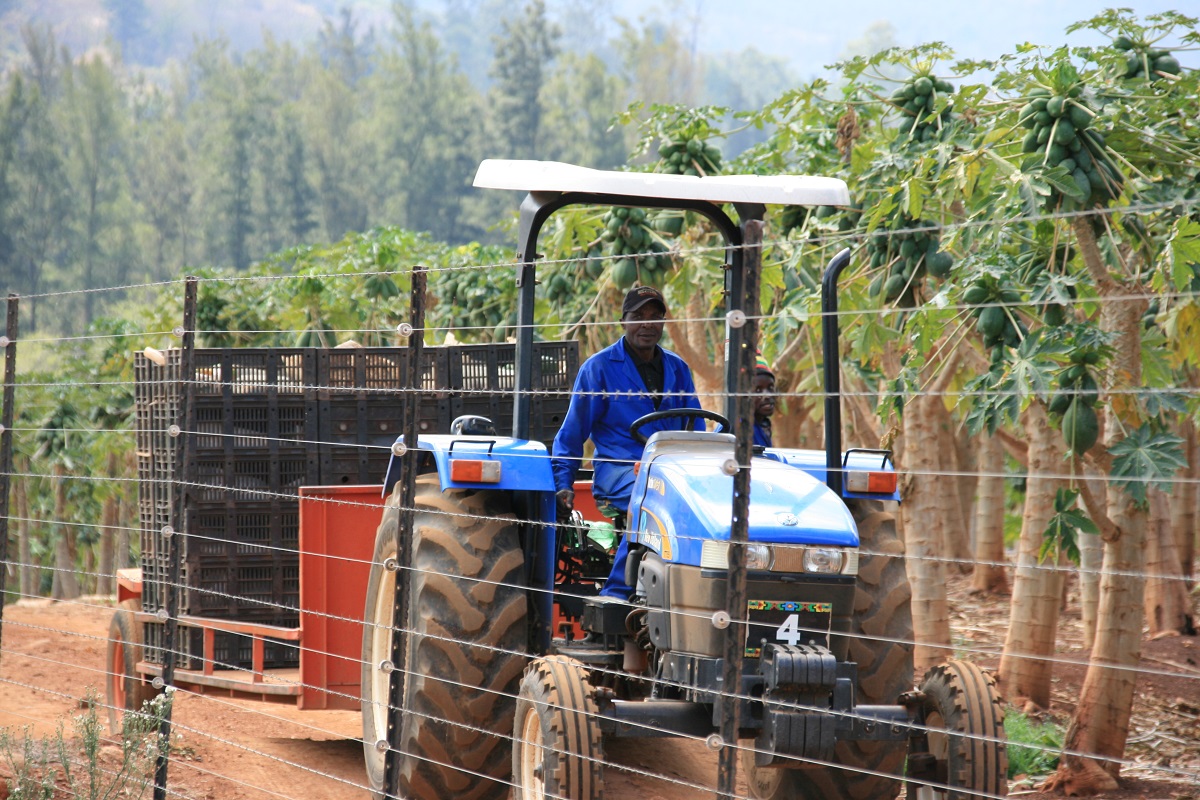Private investment in land reform has the potential to kick-start economic recovery 