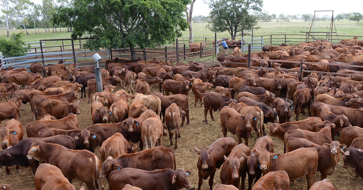 Hulp met uitvoere verwelkom- RPO Suid Afrika 