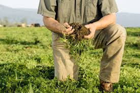 Die regering van Suid Afrika sien nog steeds nie die waarde van sy Landbouers nie.