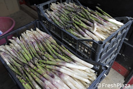 GLOBAL OVERVIEW ASPARAGUS - December 2021