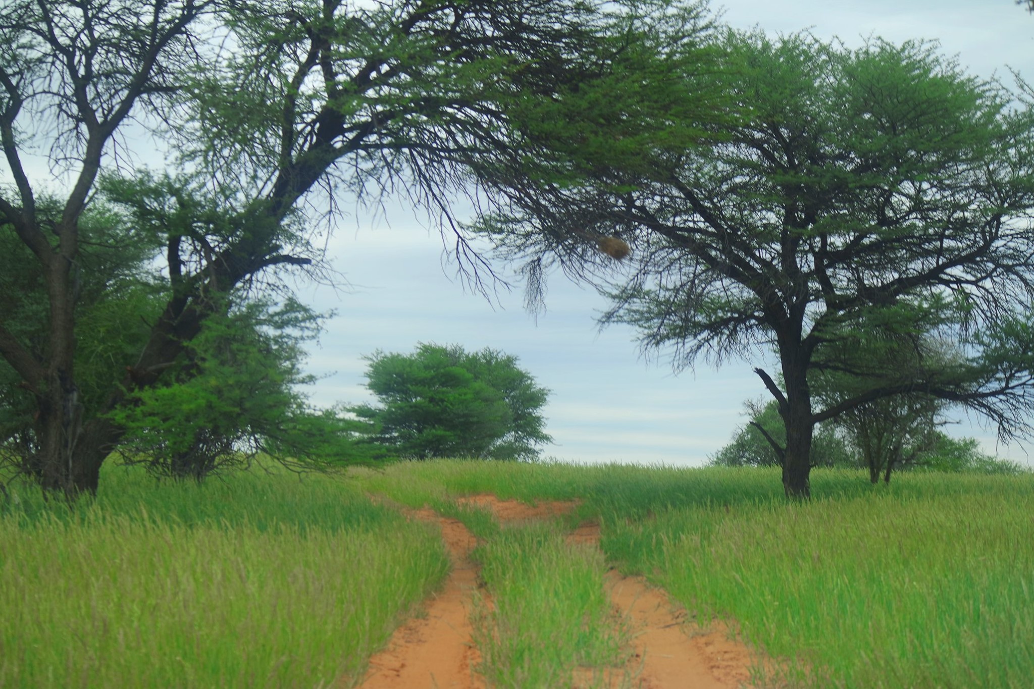 VOEDSELSEKERHEID  - dis Suid Afrika se boere in 2022