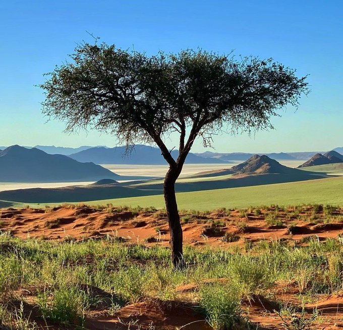 Land, water resources are at breaking point: