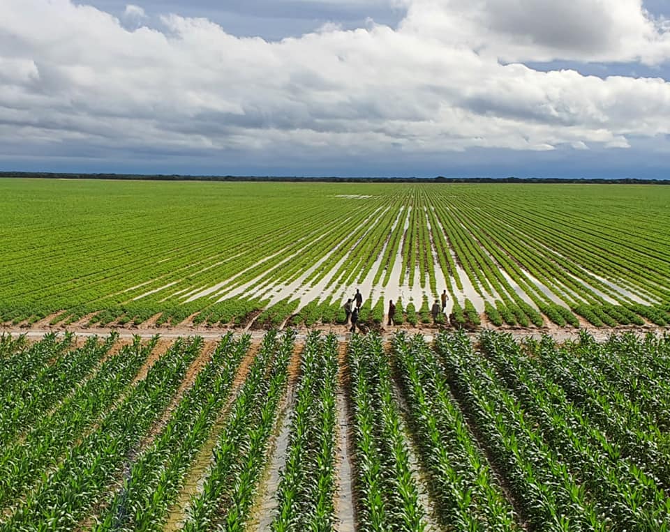 SWAAR NEERSLAE VERWAG VIR SENTRAAL SUID-AFRIKA- 