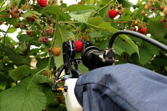 Almost everything about these robots is unique including the fact that they are affordable"