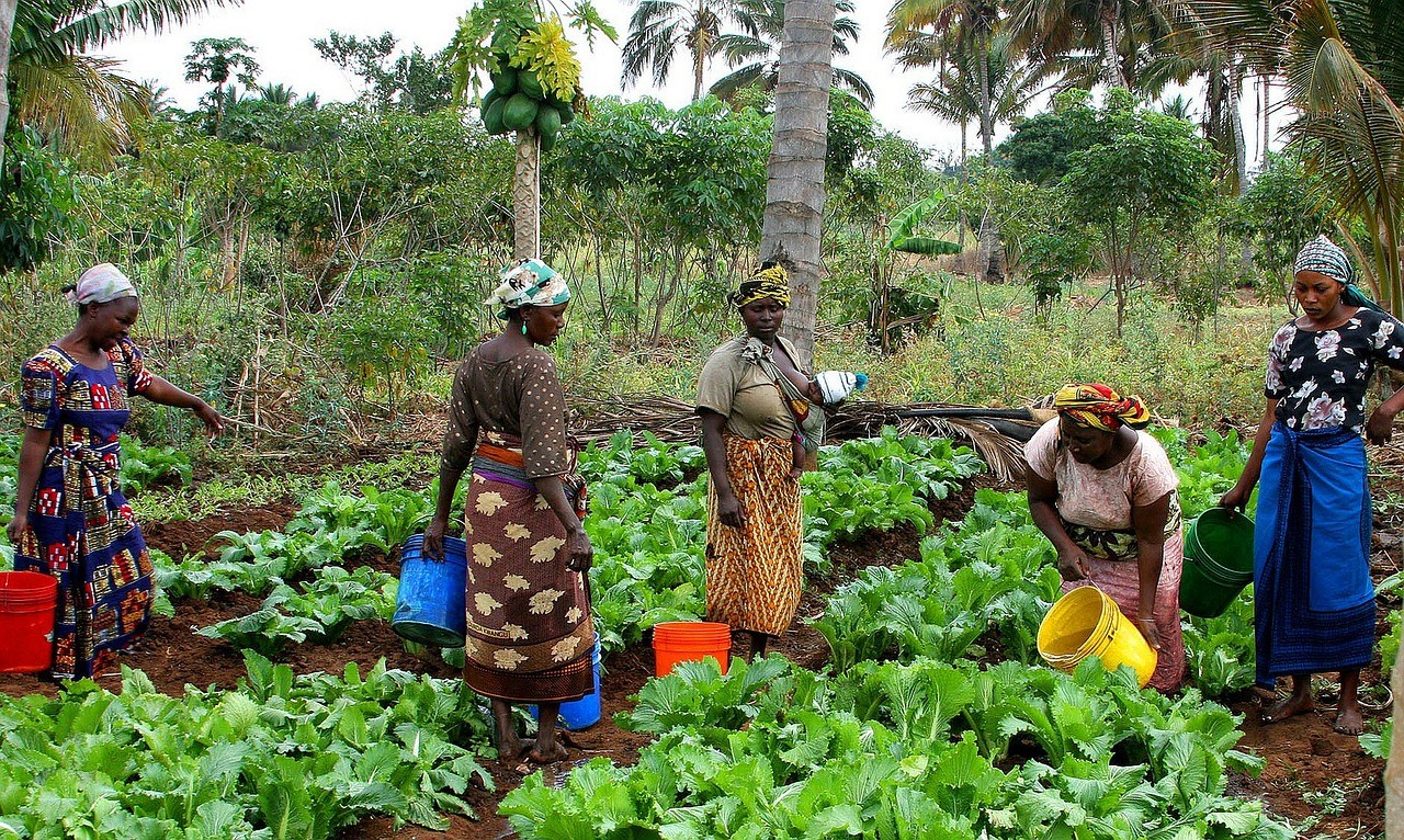 Gender inequality in land ownership needs to be addressed urgently