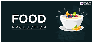 The past, present and future of food production in South Africa