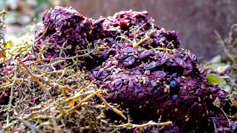 Winemakers Are Reimagining Grape Waste as a Resource
