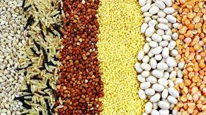 New Study Reveals Deepening Food Insecurity Crisis in South Africa