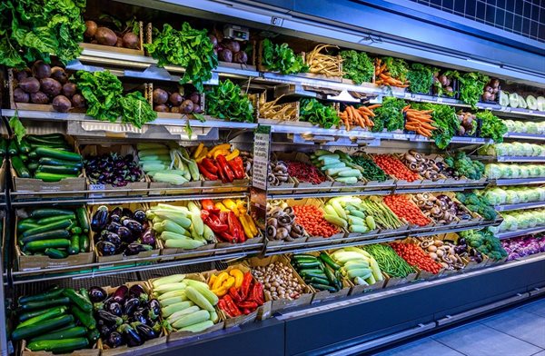 Global Vegetable Seeds Market to Reach USD 14.27 Billion by 2034, Growing at 5.36% CAGR