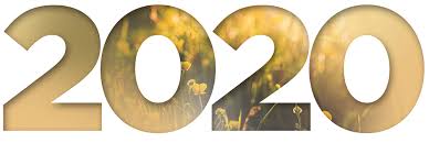 Blamerings en vergryp mentaliteit - Suid Afrika - Ons tyd is min.