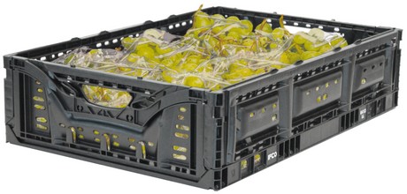 GLOBAL OVERVIEW GRAPES- November 2021