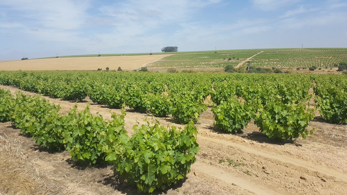 ‘Ja, maar’ oor onteiening sonder vergoeding- Suid Afrika 