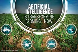 Africa needs to harness the power of AI in its battle against biodiversity degradation