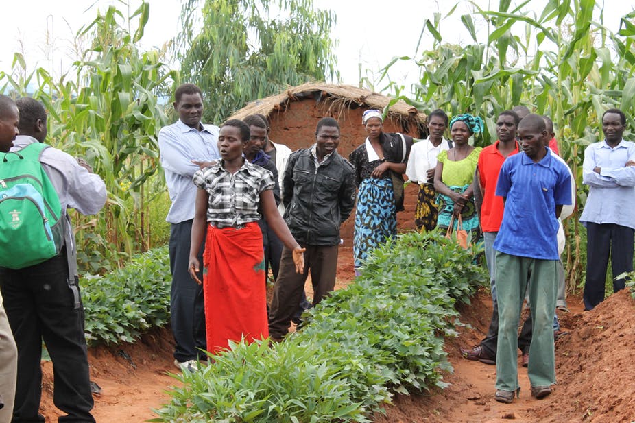 South African land reforms will include tribal territories’