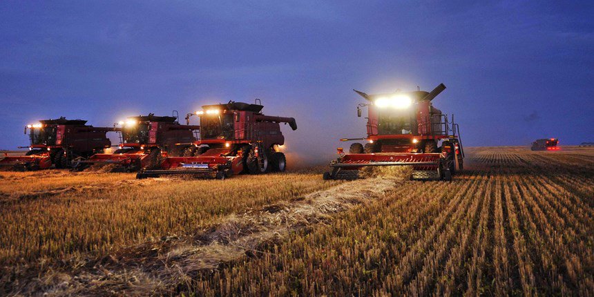 So baie paar dinge om oor te dink voor jy plant- Suid Afrika 