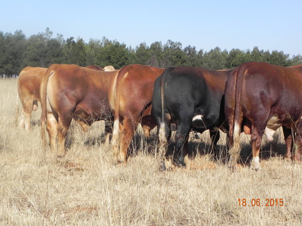 Farm Confessional: Here’s My Beef with Farmers Who Claim Organic When They Are Not