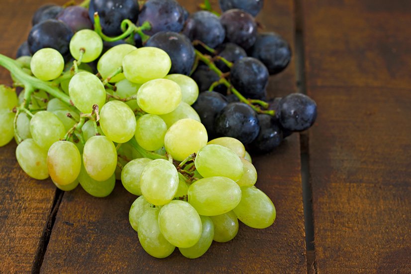 GLOBAL OVERVIEW GRAPES - February 2021