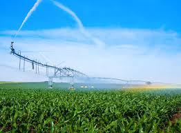 Ramping up irrigation tech- World