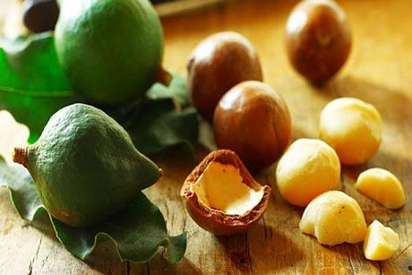 Bright Prospects for Macadamia Nuts in China