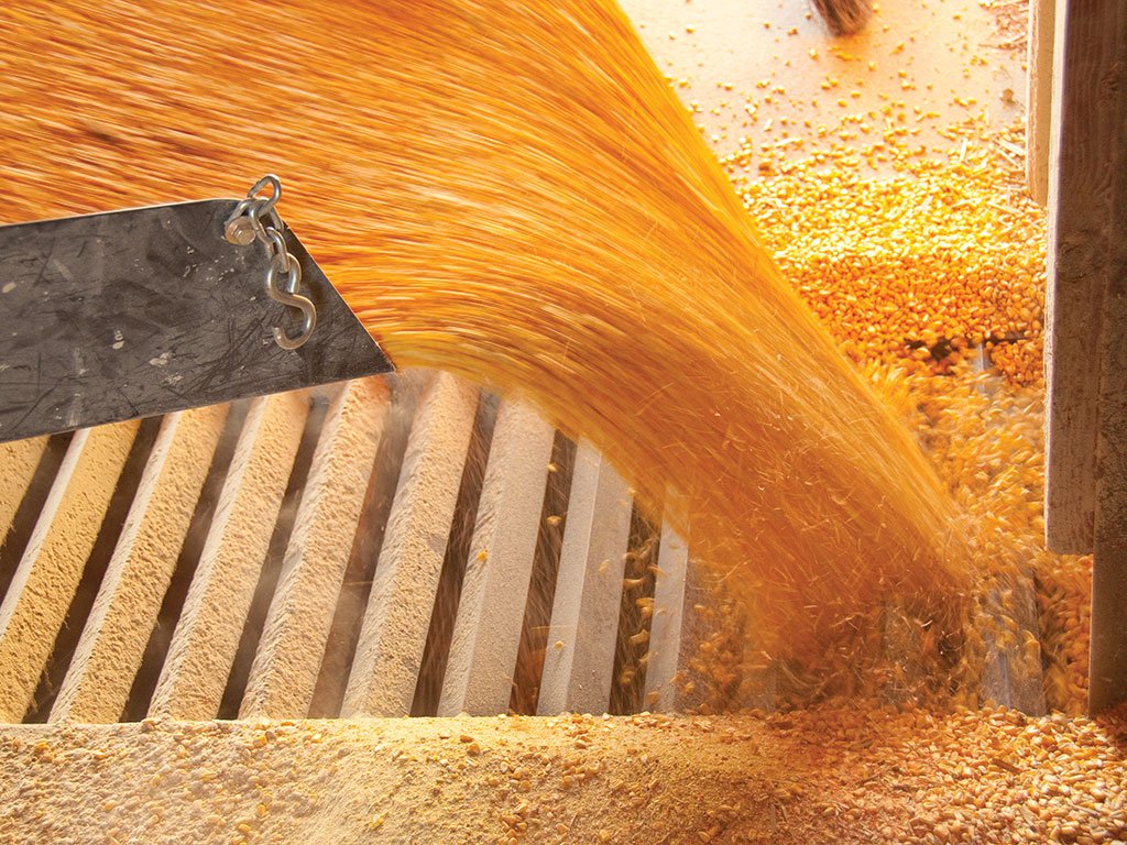 Ukraine sets grain output record