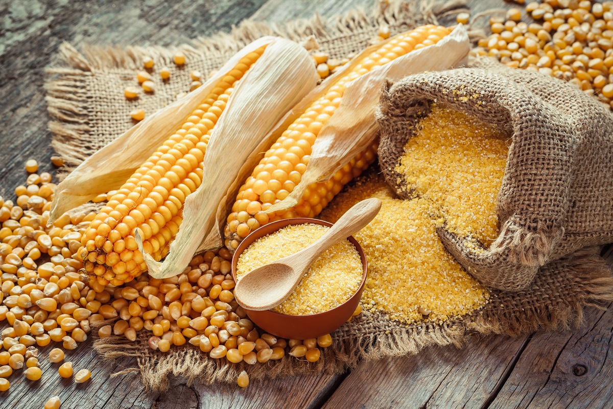 GRADES OF MAIZE MEAL IN AFRICA: AN OVERVIEW FOR ENTREPRENEURS