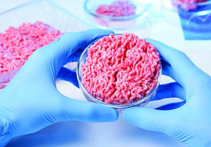 Cellular Agriculture: A Science Towards Meat Without Animals, Eggs Without Hens &amp; Milk Without Cows