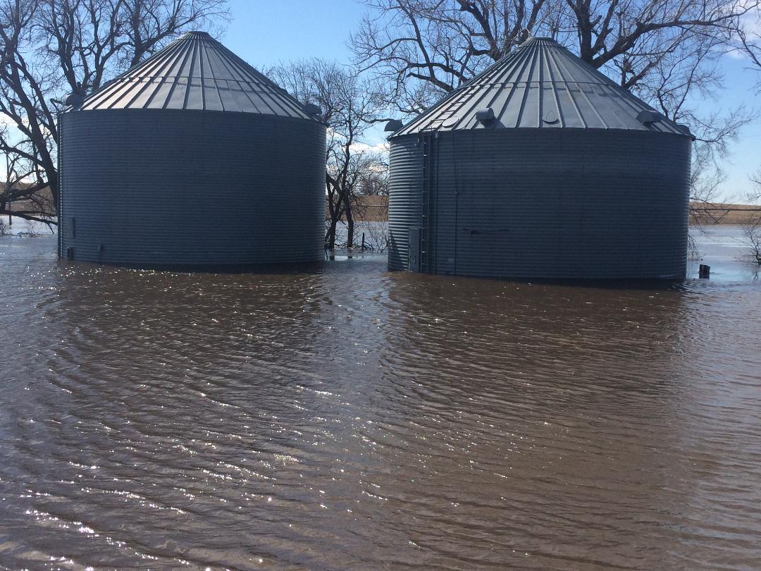Midwestern flooding damaging grain, storage- USA 