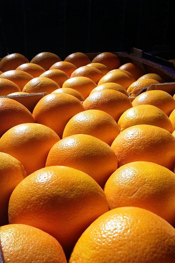 GLOBAL OVERVIEW ORANGES - May 2022