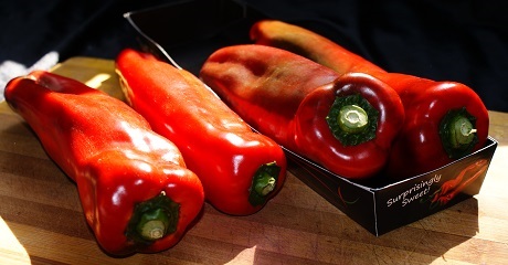 GLOBAL OVERVIEW BELL PEPPERS - January 2022