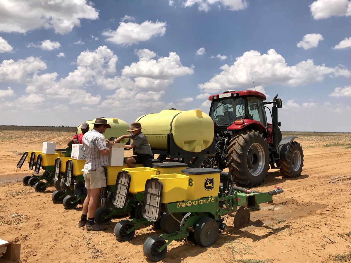 Input costs in South Africa's 2022-23 summer crop season will severely squeeze farm profitability