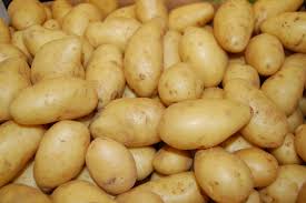How will the hybrid potato change the international potato sector?