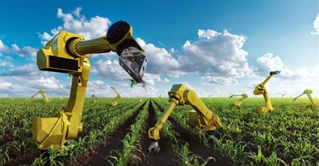 Robot identifies plants by 'touching' their leaves