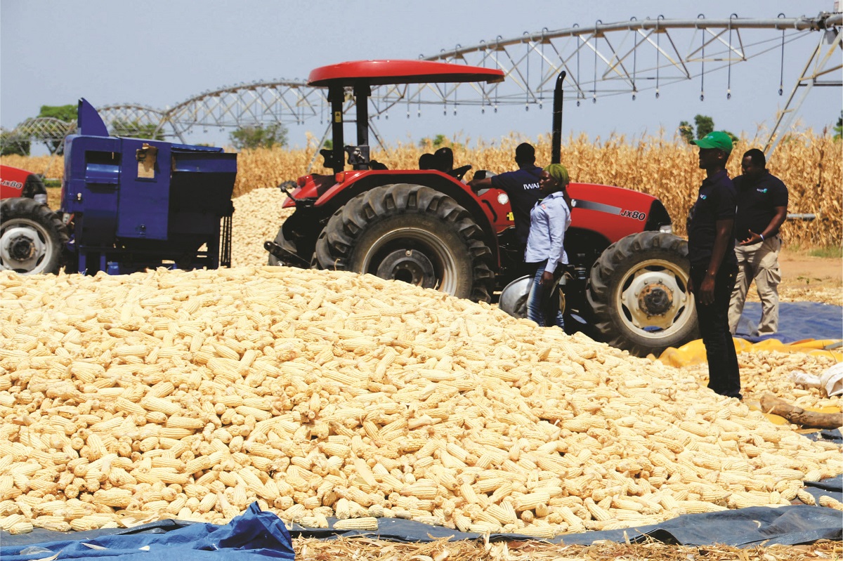 These small-scale farmers qualify for emergency support- South Africa