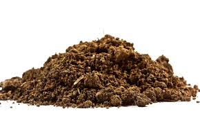 BENEFITS OF COVER CROPS EXTEND TO DRY AREAS