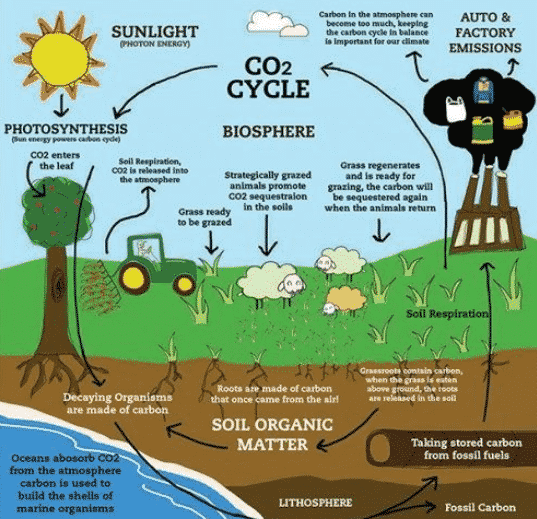 Simplifying the process for calculating soil carbon credits