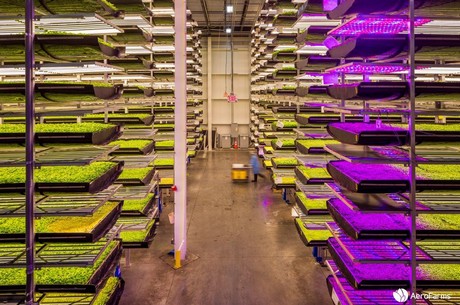 What is the future of the Metaverse for indoor agriculture?