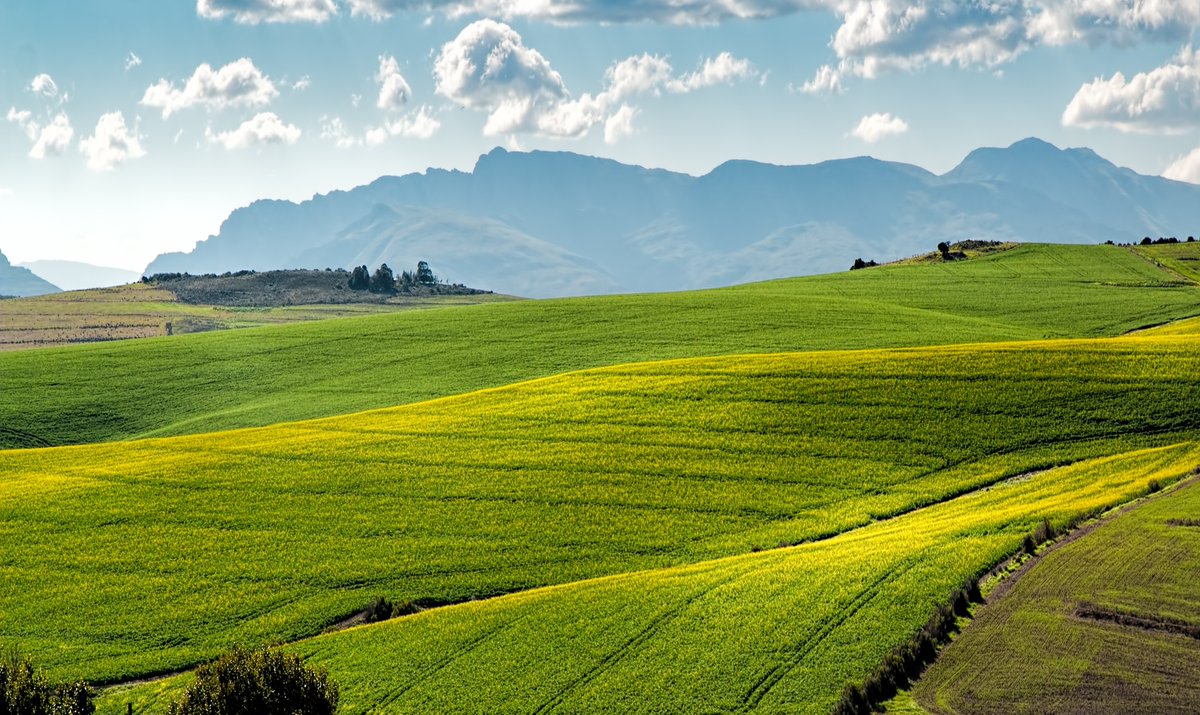 A critical period for South Africa winter crop-growing regions