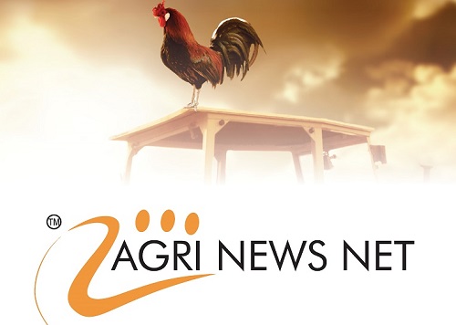 Suid Afrika -Weeklikse Landbou Nuusoorsig -  Weekly Agriculture News Summary  14th June 2023  