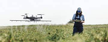 The role of women in agriculture: challenges and opportunities