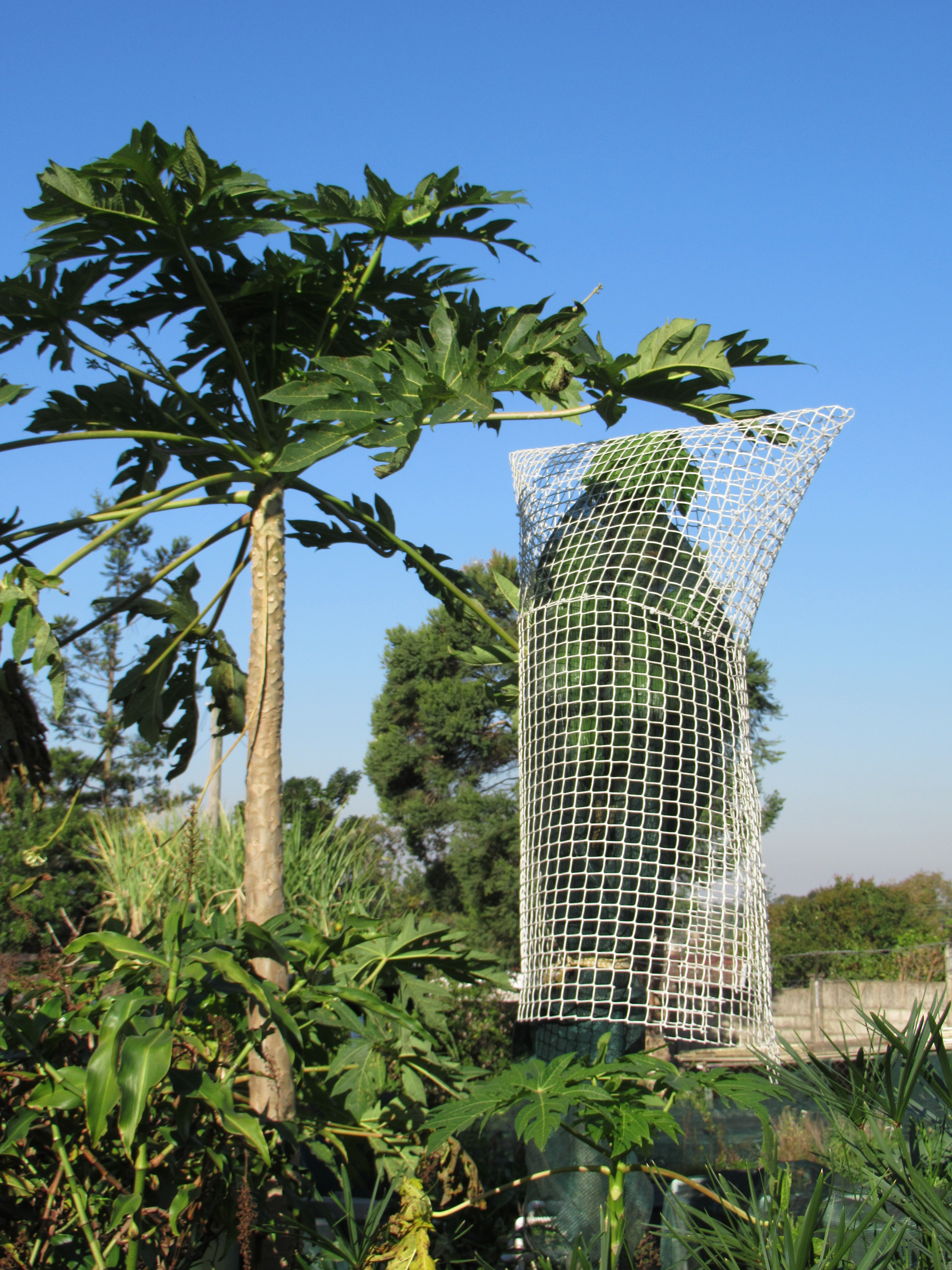 CROP SAVER INVENTIONS - South Africa