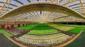 How Israel became a world leader in agriculture and water management